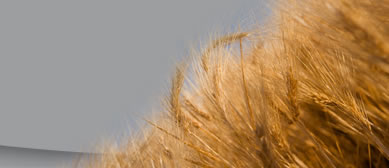 Slideshow Image 5