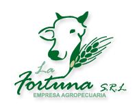 Fortuna S.R.L.